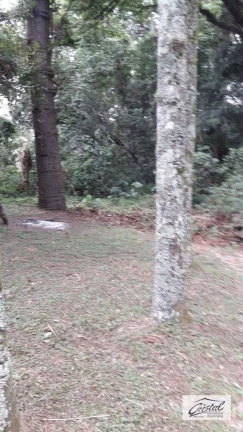 Imagem Terreno à venda, 35167 m² - Granja Viana - Cotia/SP