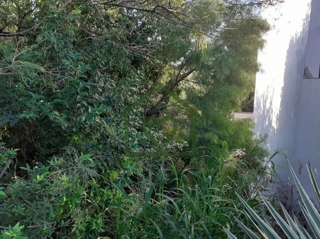 Imagem ótimo terreno, desocupado, pronto para construir, rua sem saída, local calmo, próximo a todos os ...