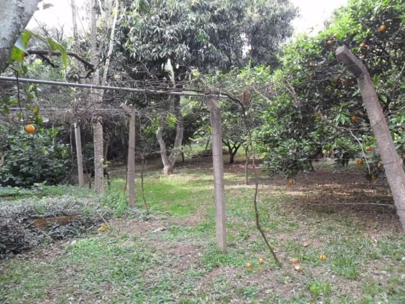 Imagem Casa para Venda - 290m², 3 dormitórios, sendo 1 suites, 3 vagas - Nonoai