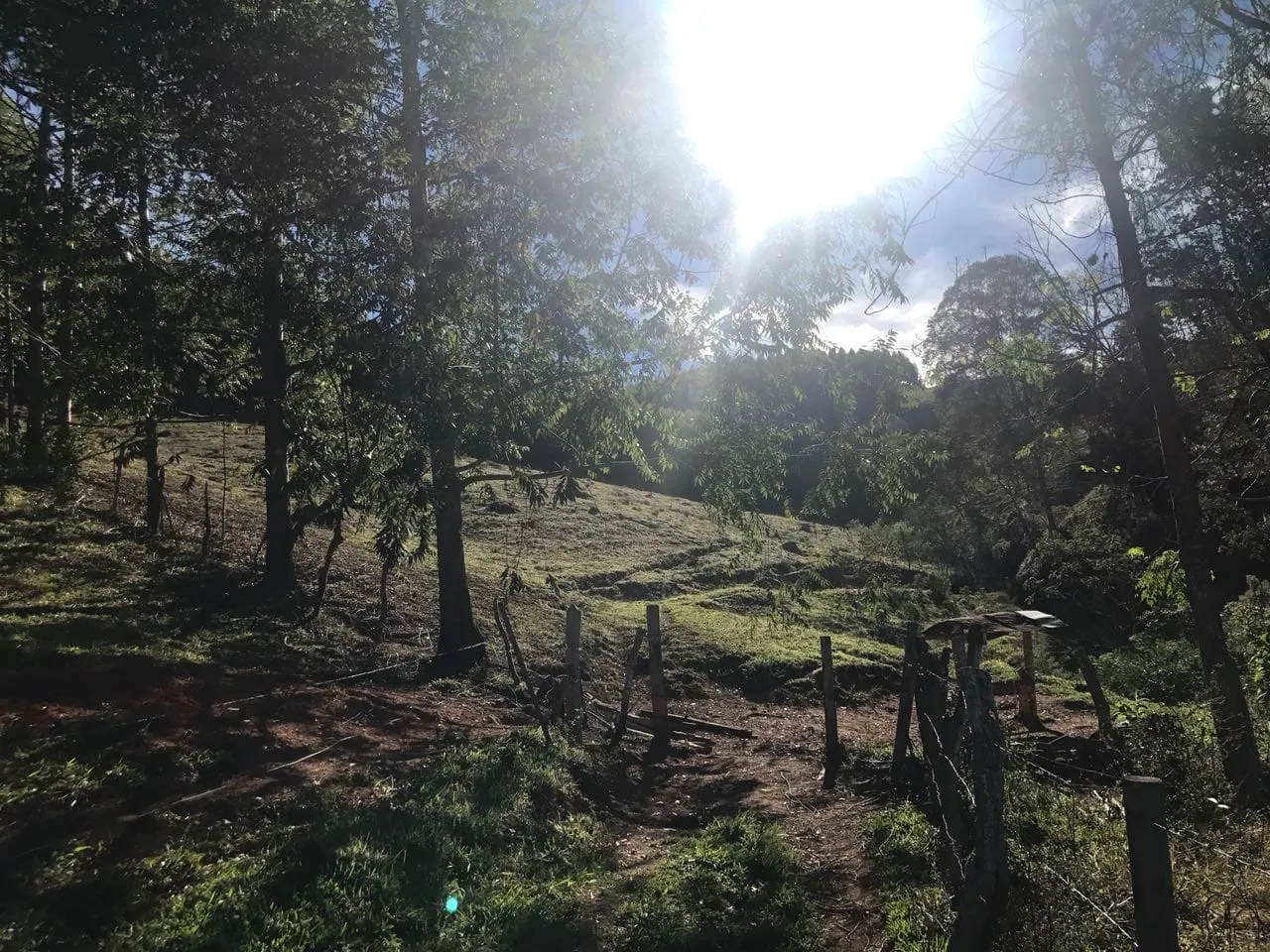 Imagem Chácara à venda 3 Quartos, 157000M², Bailaiero, Cunha - SP