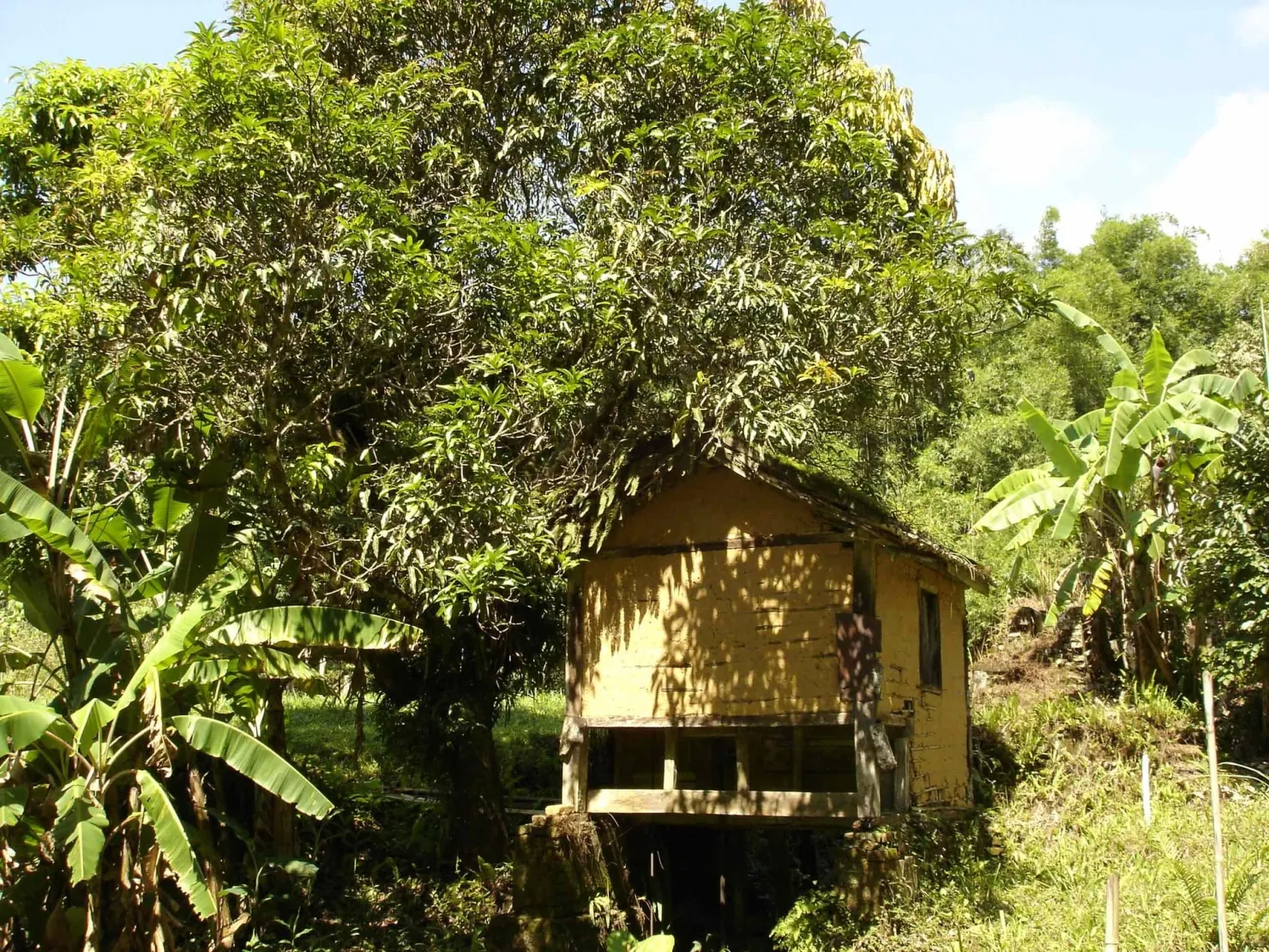 Imagem Sítio à venda 3 Quartos, 49000M², Ribeirão Grande, Pindamonhangaba - SP