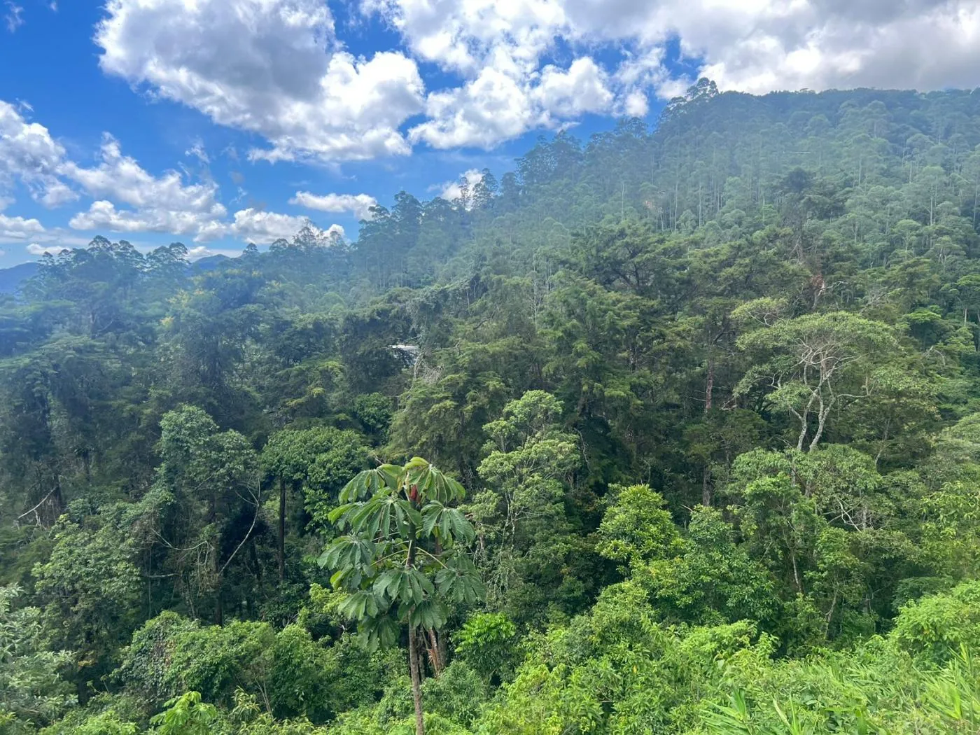 Imagem Terreno em Condomínio para Venda em Petrópolis / RJ no bairro Quarteirão Ingelheim