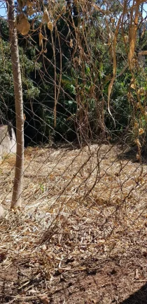 Imagem Vendo Terreno em loteamento fechado no Sorirama, Campinas SP