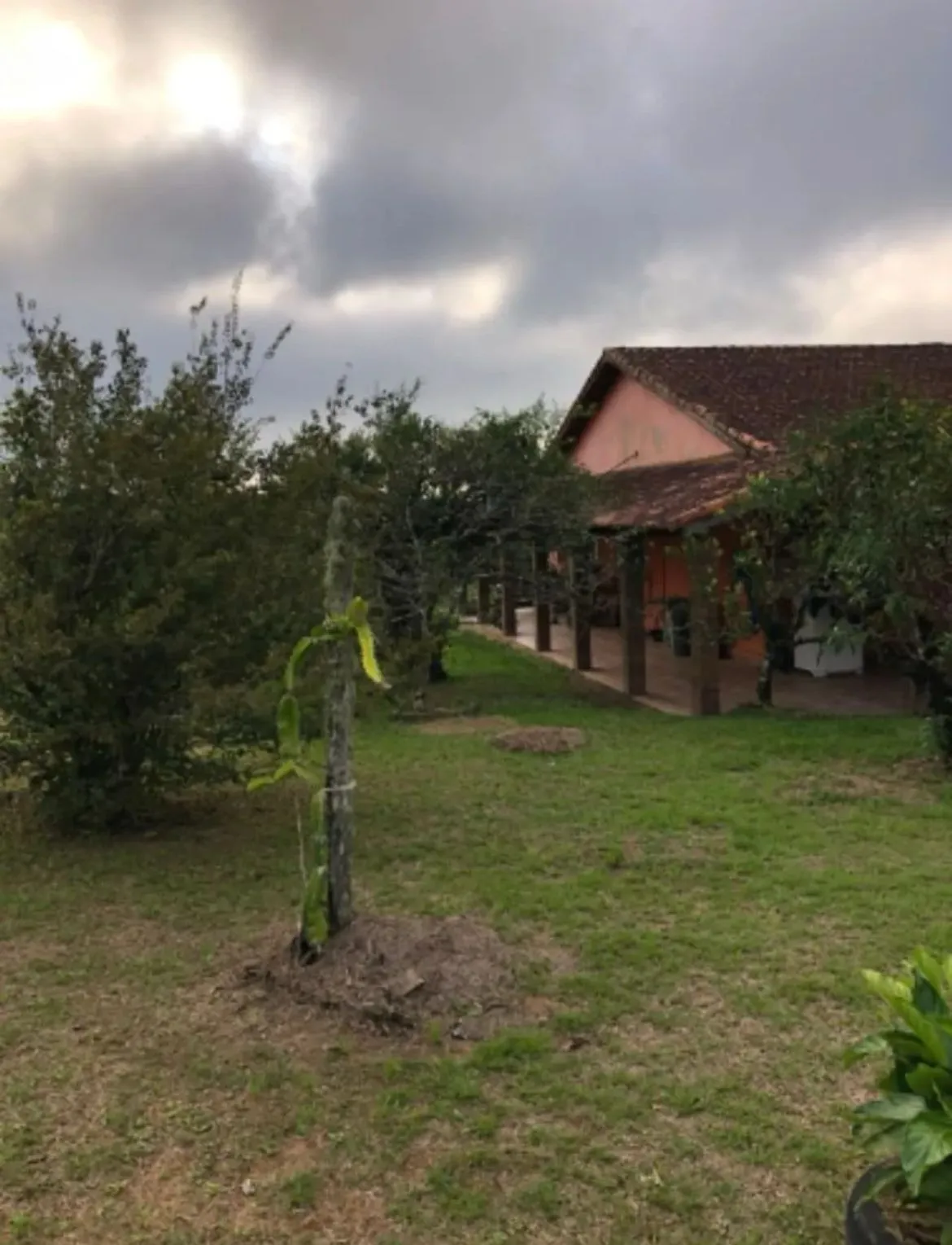 Foto do imóvel Propriedade incrível à venda em São Miguel Arcanjo - Potencial Produtivo e Lazer em Meio à Natureza em São Miguel Arcanjo, SÃO MIGUEL ARCANJO - SP