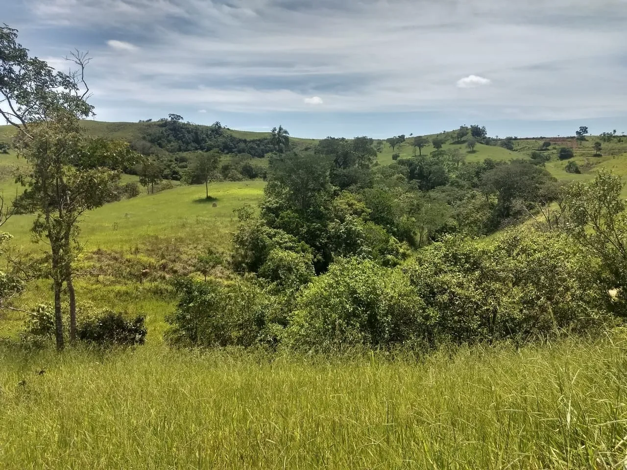 Imagem Chácara à venda 400000M², Barreiro, Taubaté - SP