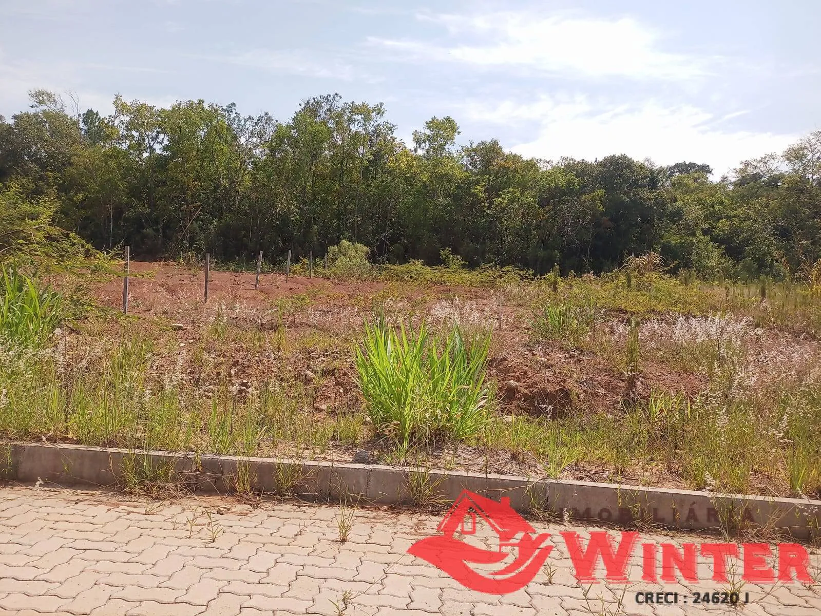Imagem Lote com 528 m2 pronto para construção!