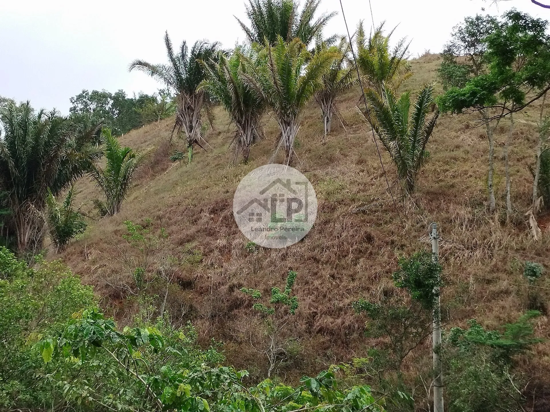 Imagem Lote/Terreno de 1440m² no bairro Caiçara, em Piraí