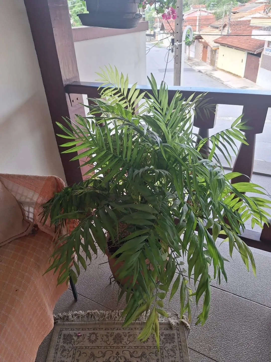 Imagem Imóvel Comercial e Residencial de Esquina no Bairro Crispim: Excelente Localização e Visibilidade para Comércio e Moradia