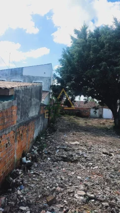 Imagem Terreno à venda Weissópolis Pinhais PR