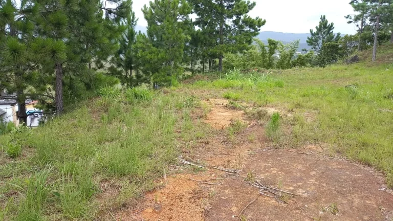 Imagem Terreno de 2640m² em Garopaba-SC: Escritura Pública e Alto Potencial de Valorização!