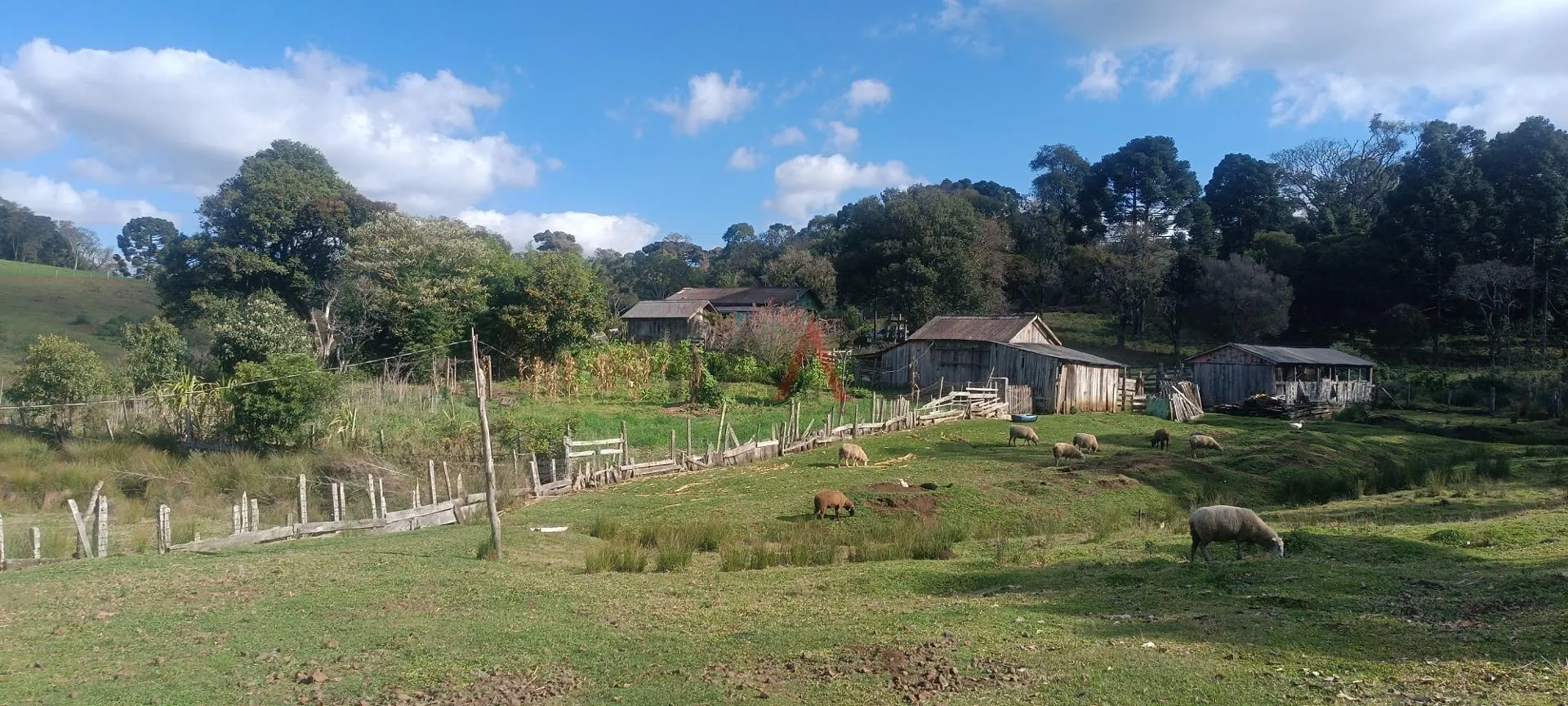 Imagem Chácara à venda com 12,5884 hectares, PALMEIRINHA, GUARAPUAVA - PR