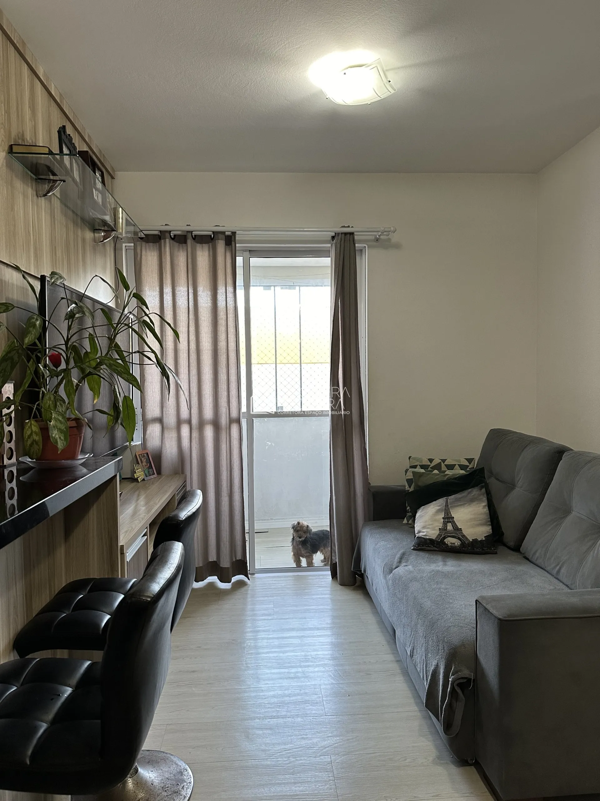 Imagem Apartamento dos sonhos!