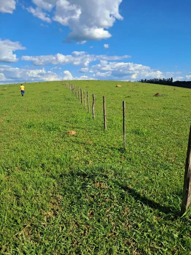 Imagem Terreno à Venda entre Oliveira e Morro do Ferro: 33 Hectares com Topografia Plana