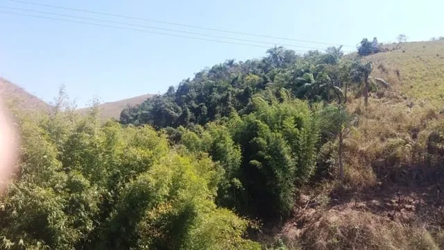 Imagem Chácara à venda Zona Rural, Lavrinhas - SP