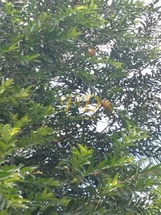 Imagem Chácara em Mairiporã.