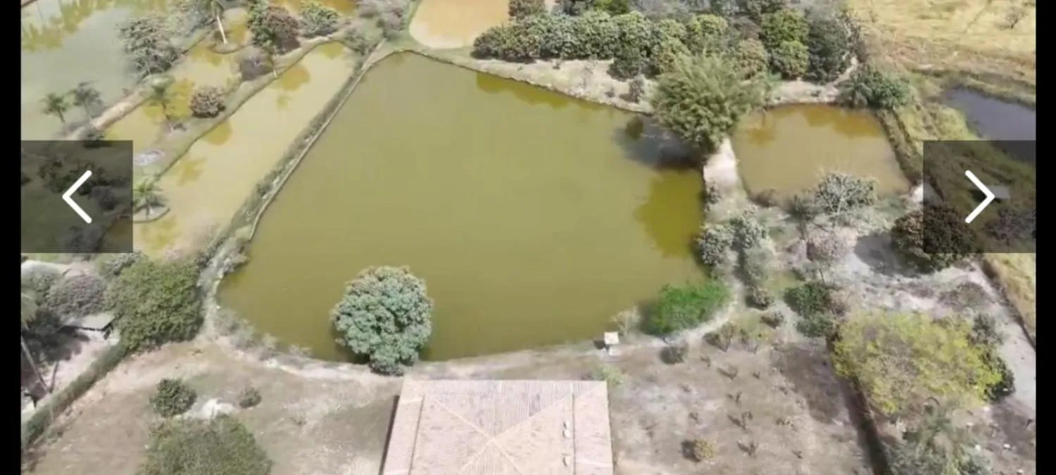 Imagem Excelente sítio à venda em Betim/MG ? Área total de 20.000 m²