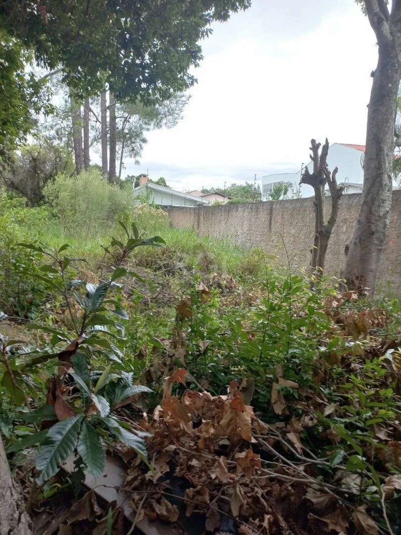 Imagem Terreno para Venda - 2167m², 0 dormitórios, Ipanema