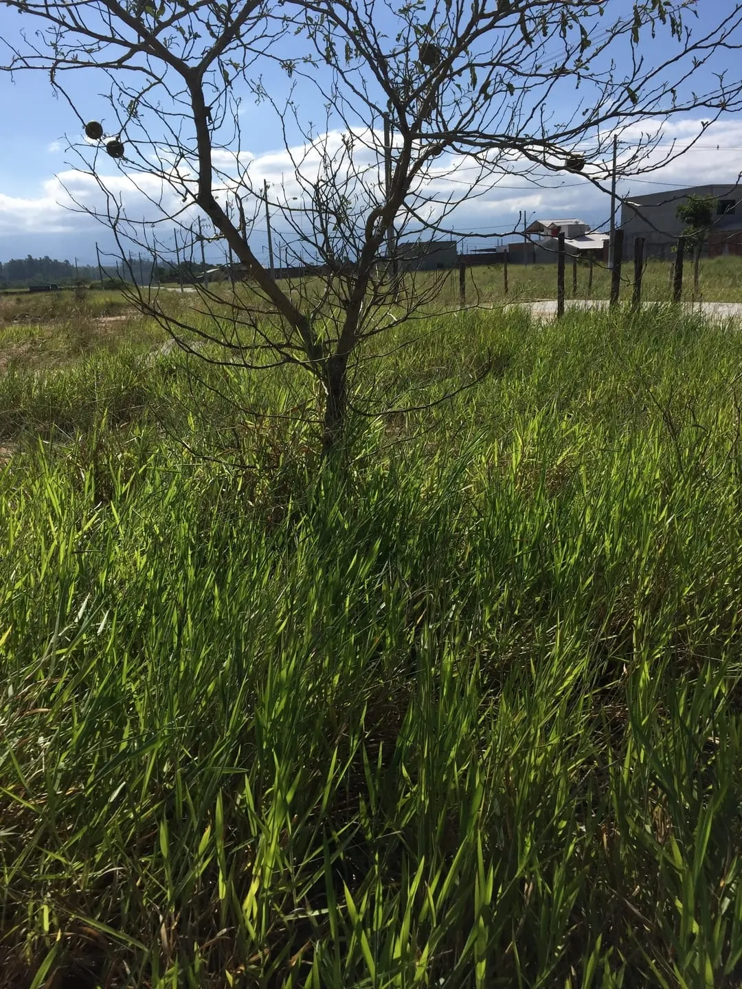 Imagem Terreno à venda 225.08M², Moreira César, Pindamonhangaba - SP