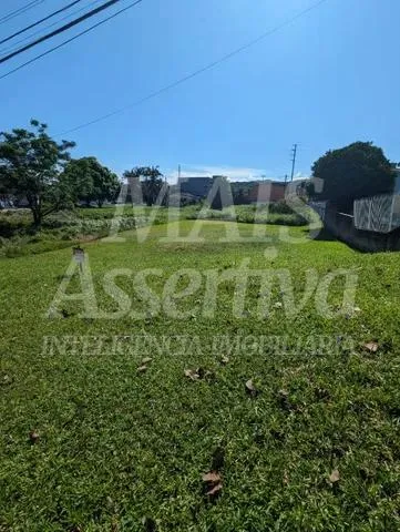 Imagem Ótimo terreno à venda no bairro Jardim Maristela em Criciúma/SC