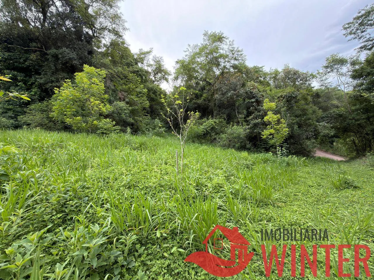 Imagem Area com 10.571 m2 no São Roque, Feliz
