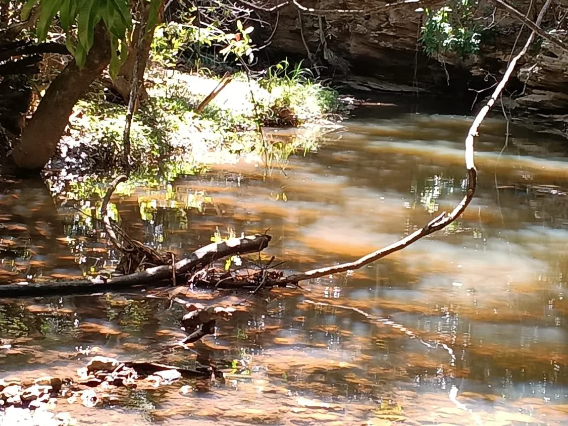 Imagem FAZENDA À VENDA EM SANTANA DO PIRAPAMA ? MG , com 338 hectares de terra