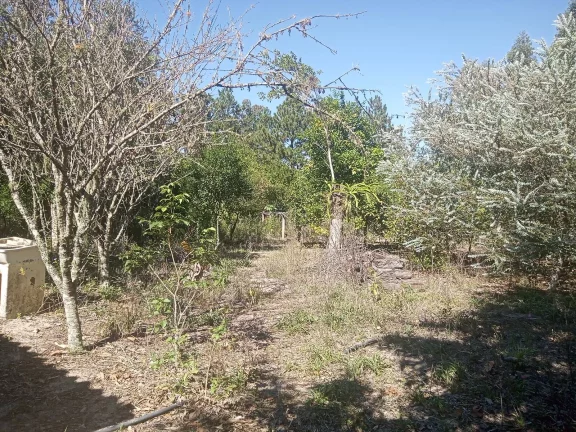 Imagem Sitio com 2.056m², em condomínio fechado, arborizado, Águas Clara, Viamão