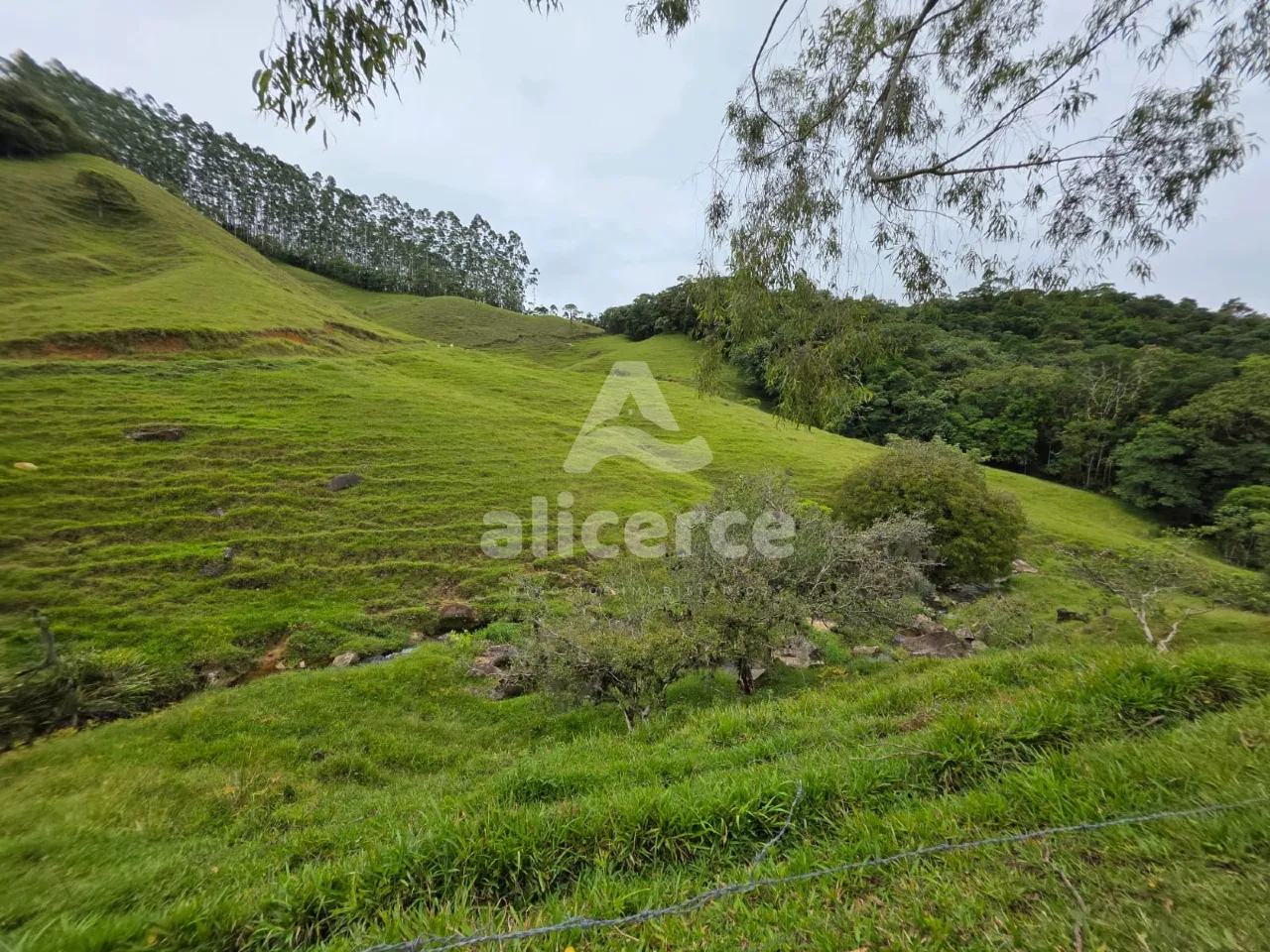 Imagem Sítio à venda em Antônio Carlos, SC, na Zona Rural - Morro da Gloria.