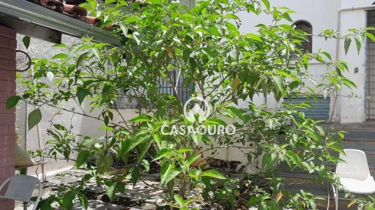Imagem Terreno à venda, 415 m² - Serra - Belo Horizonte/MG