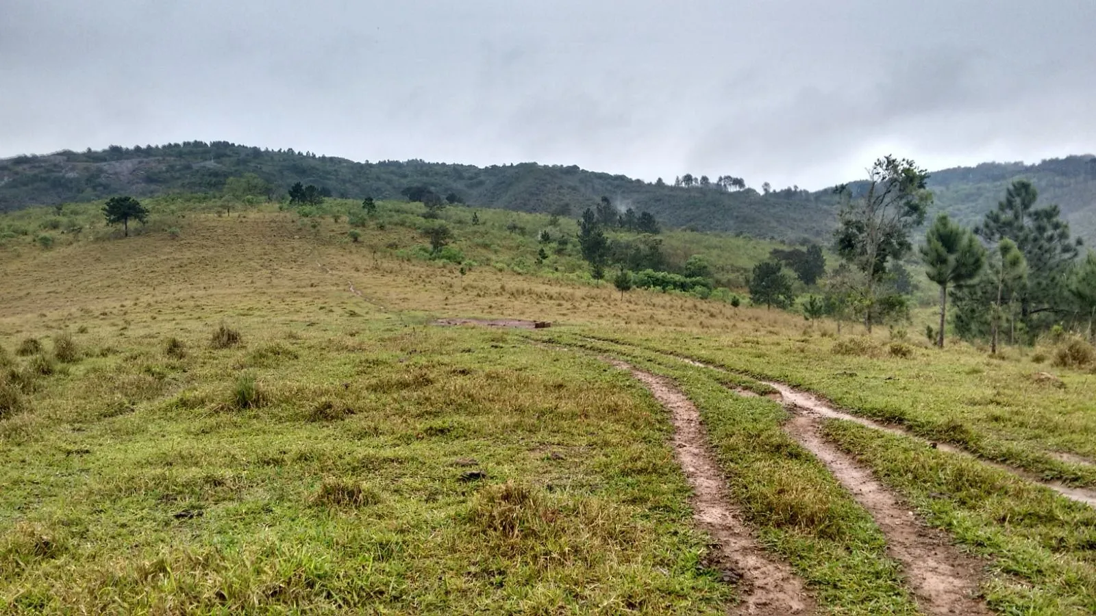 Imagem Oportunidade: Sítio com Muito Verde e Água de Nascente