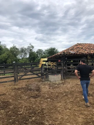 Imagem BELÍSSIMA FAZENDA DE 58 ALQUEIRES, À VENDA EM NOVA MÓDICA/MG, ACEITA PERMUTA!