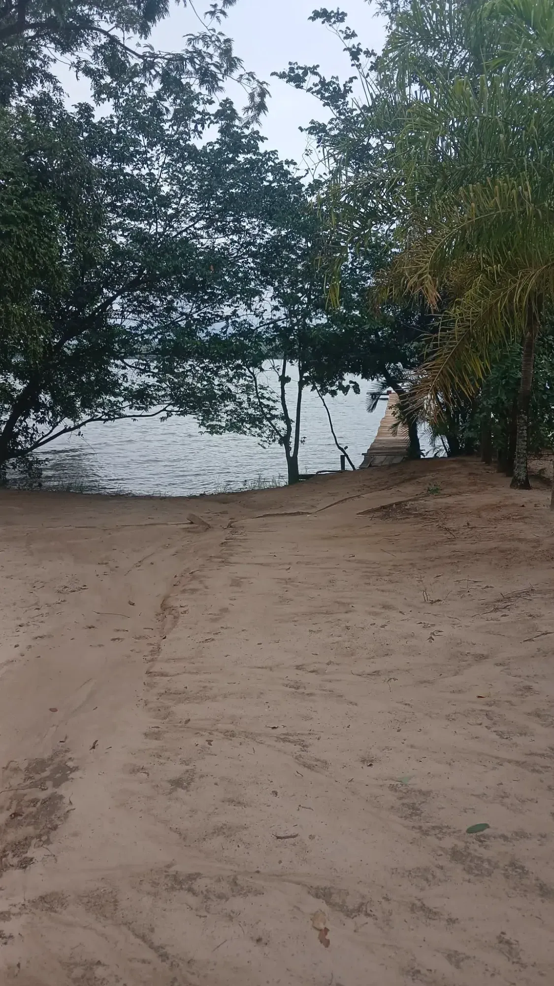 Imagem Chácara com 3 Quartos à Venda, 1650 metros em Ranchos do Marisias - Tres Lagoas, Tres Lagoas, Ms
