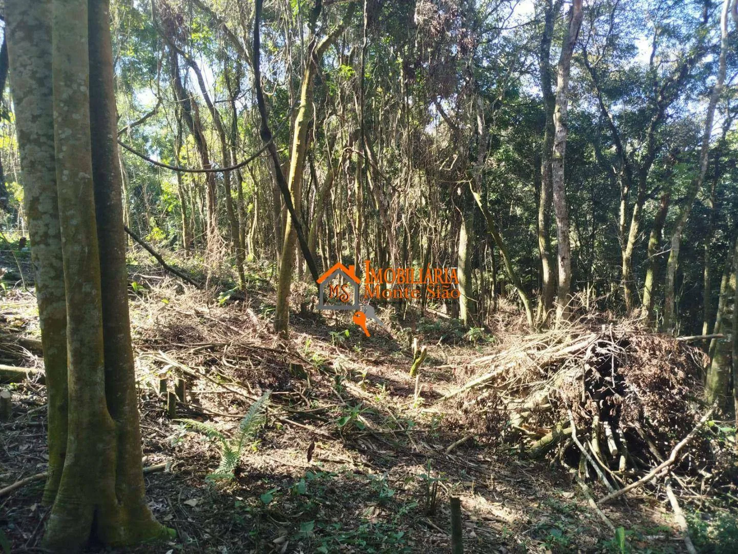 Imagem Terreno à venda, 3.068m² por R$ 212.000 - Parque Santos Dumont - Guarulhos/SP