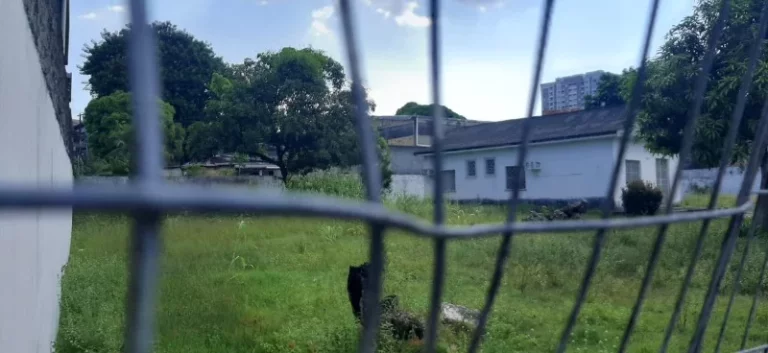 Imagem TERRENO COMERCIAL em MANAUS - AM, SÃO FRANCISCO