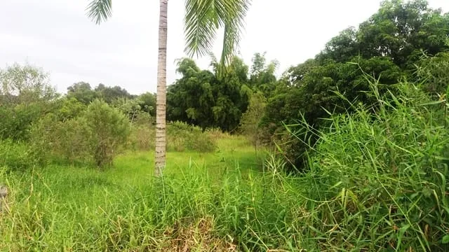 Imagem Chácara à venda 5200M², Cidade Nova, Pindamonhangaba - SP