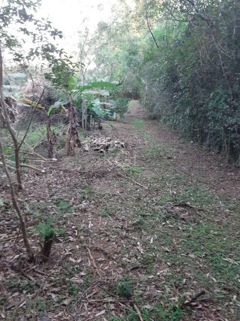 Imagem Terreno para Venda - 0m², 0 dormitórios, Sítio Túnel Verde