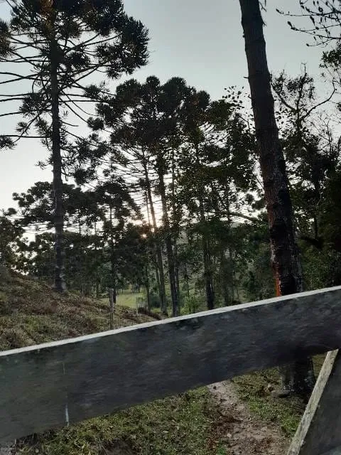 Imagem Chácara à venda 170000M², Paraibuna, Cunha - SP