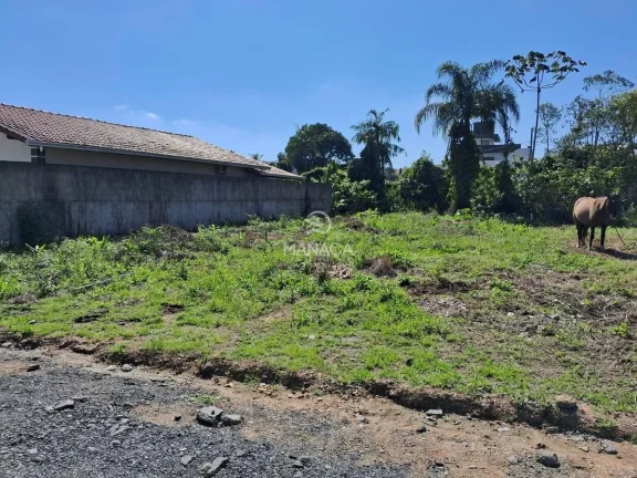 Imagem Terreno a venda jardim Icaraí