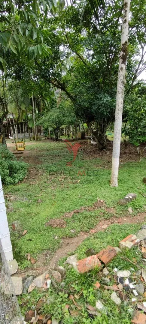 Imagem Chácara em Blumenau. Com rancho em construção. Lagoa com água. Poço artesiano. Pomar