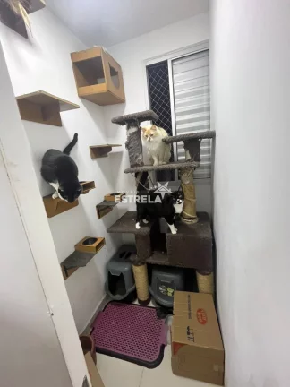 Imagem Excelente Apartamento 02 Dorms com lazer completo - Cotia/SP