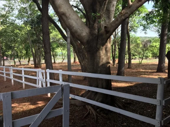 Imagem Haras - Fazenda Barra Seca