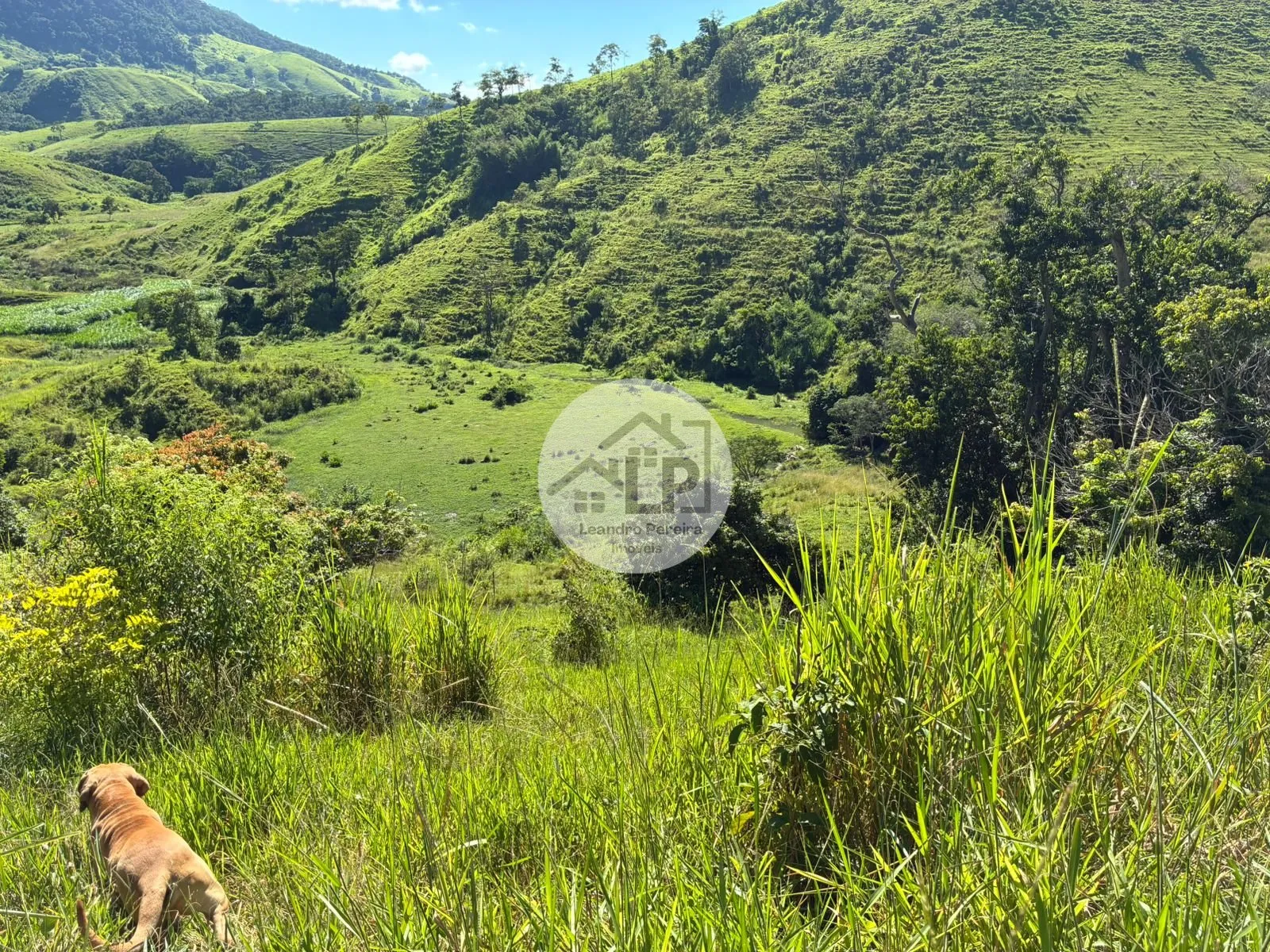 Imagem Fazenda/Sítios/Chácaras de 480000m² no bairro Carmo, em Carmo