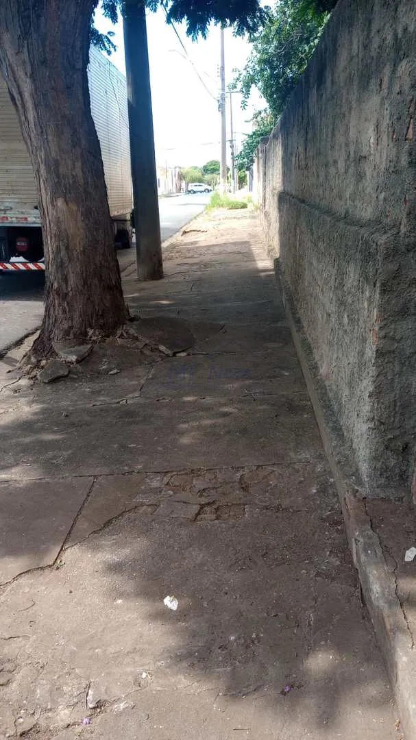 Imagem Terreno Padrão