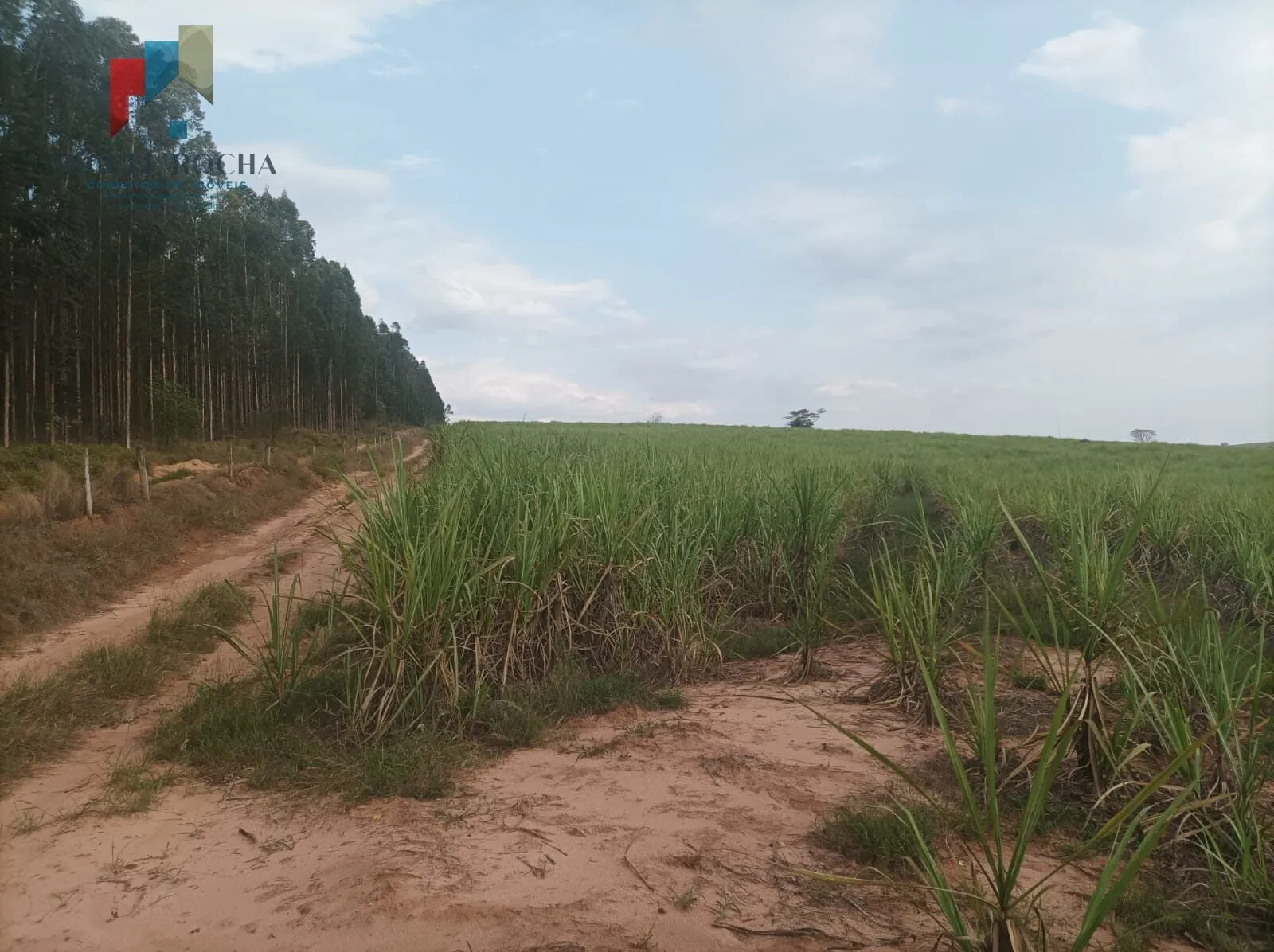 Imagem Fazenda Região de Piracicaba SP