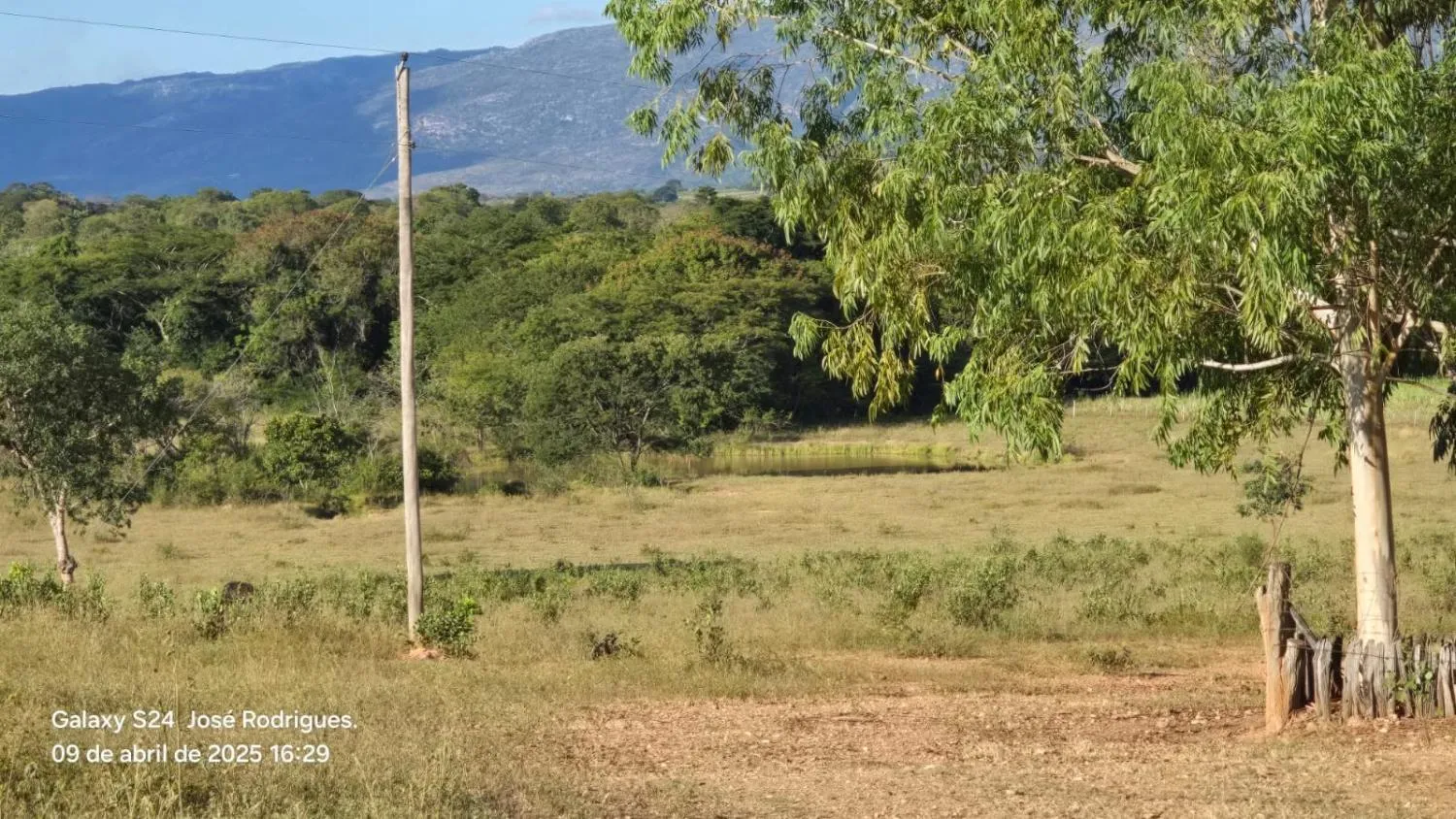 Imagem FAZENDA À VENDA ? PORTEIRA FECHADA / BUENÓPOLIS/MG área total de 223 hectares