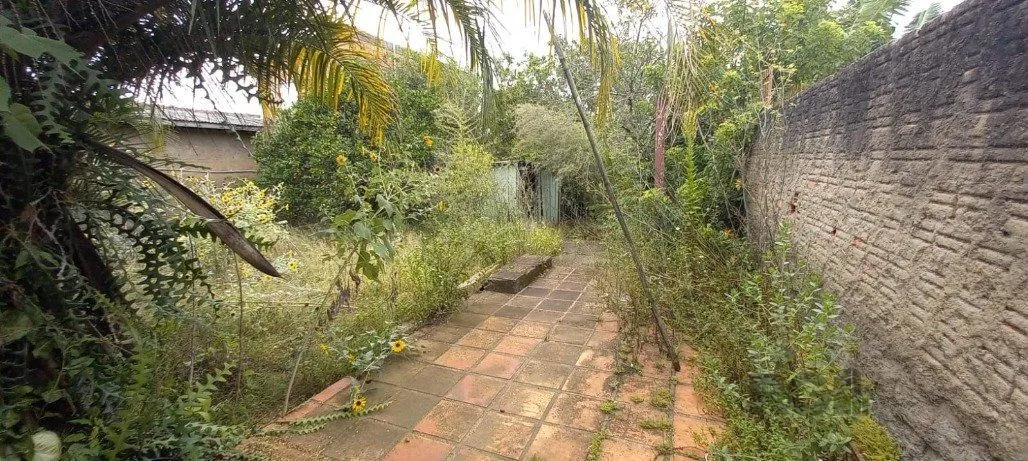 Imagem Terreno em Vila Nova