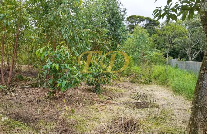 Imagem Chácara em Terra Preta - Mairiporã