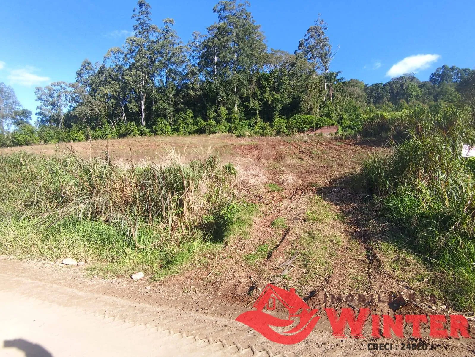 Imagem Área de terras com 3 hectares no Bananal!