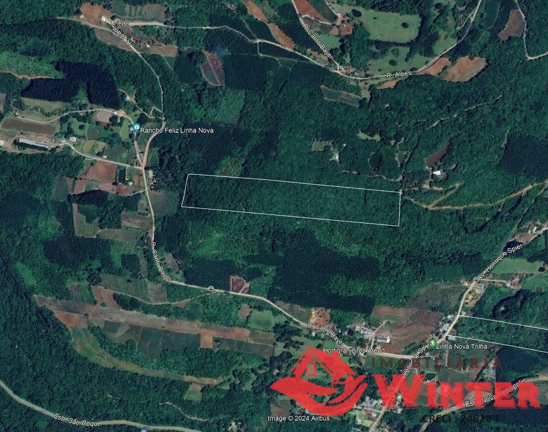 7 hectares em Linha Nova.