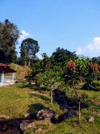 Imagem SITIO COMERCIAL em PRESIDENTE FIGUEIREDO - AM, Comunidade Rural