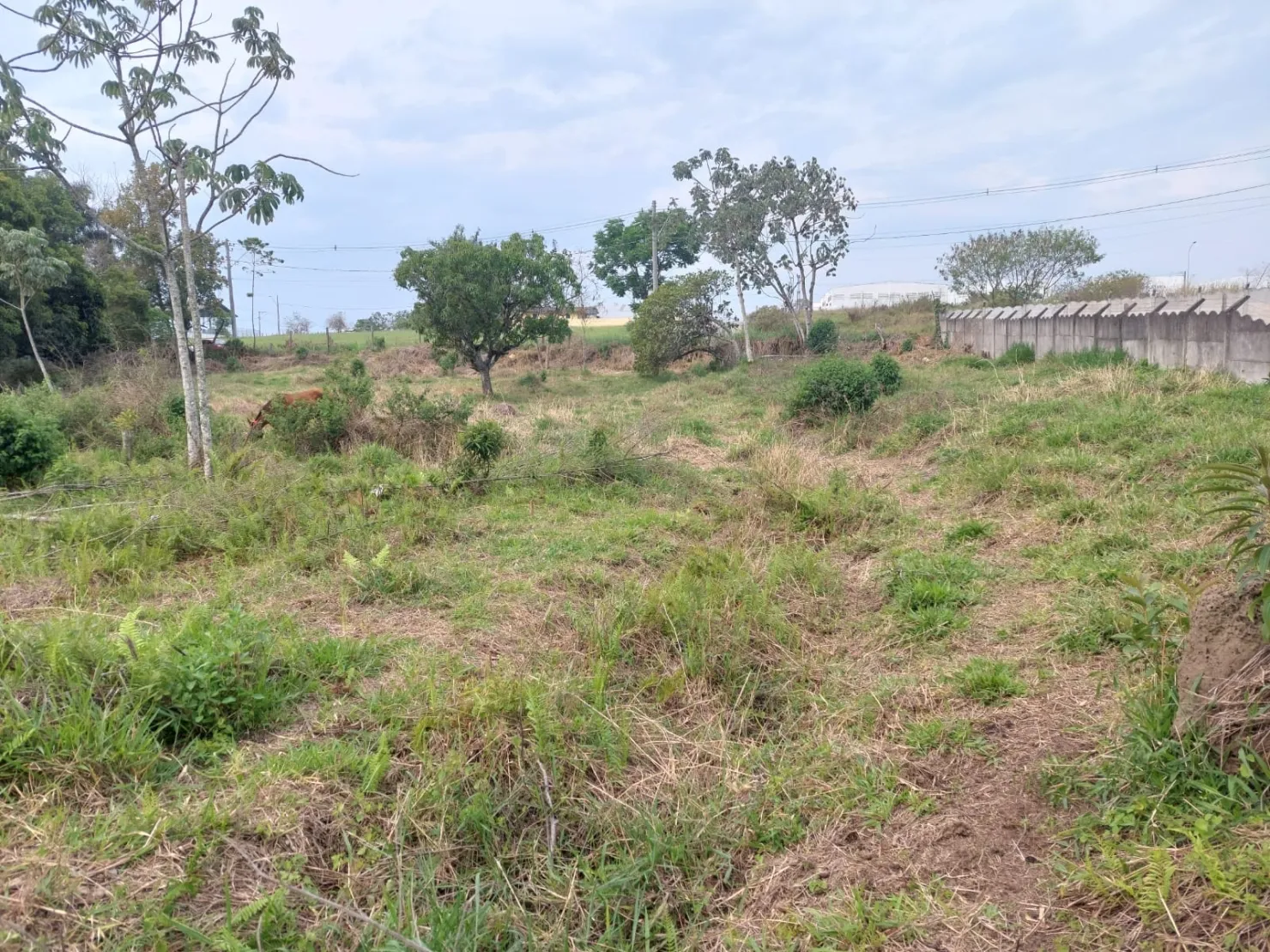 Foto do imóvel Chácara à venda 2596.3M², Cidade Nova, Pindamonhangaba - SP